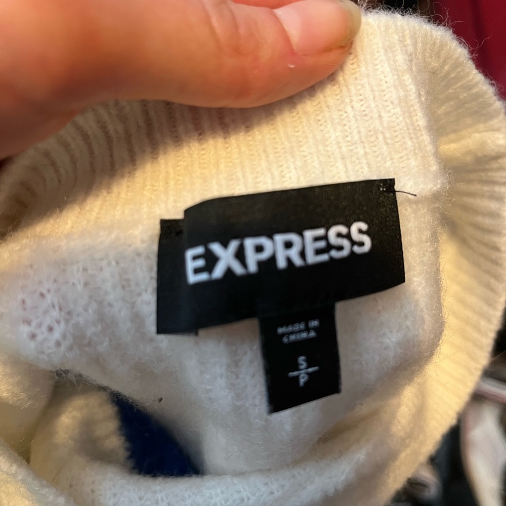 Express brand fall sweater